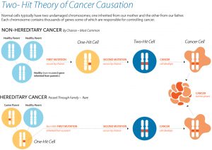 2 hit hypothesis cancer